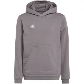 adidas Entrada 22 Hoodie Grau Jugend 140 cm