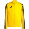 adidas Tiro 23 League Trainings-Sweatshirt für Kinder Team Gelb 128cm