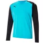 Puma teamPACER GK LS Herren Torwart-Trainingsjacke Blau-Schwarz XL