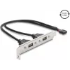 Delock USB 2.0 Slotblende mit 2 x EASY-USB Typ-A-Ports