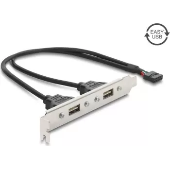 Delock USB 2.0 Slotblende mit 2 x EASY-USB Typ-A-Ports