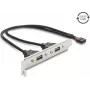 Delock USB 2.0 Slotblende mit 2 x EASY-USB Typ-A-Ports