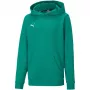 PUMA teamGOAL 23 Casuals Kapuzenpullover Junior Sweatshirt Waldgrün 128