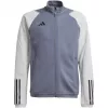 adidas Tiro 23 Competition Trainings-Sweatshirt Team Grey 2/Schwarz Herren Slim Fit