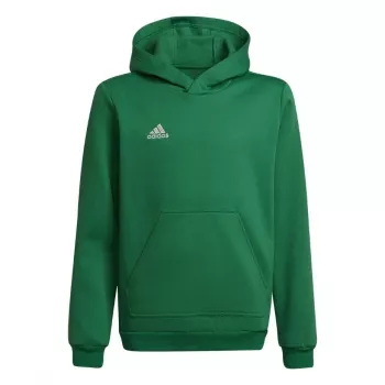 adidas Entrada 22 Hoody Kinder Sweatshirt Grün 116cm