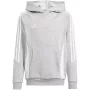 adidas Tiro 24 Hooded Sweatshirt Junior Grau 164 cm