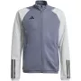 adidas Tiro 23 Competition Trainings-Sweatshirt Herren Team Grey Four