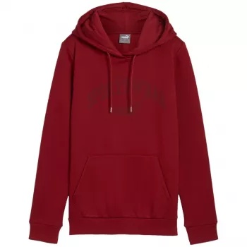 PUMA Herren Essentials+ Logo LAB Hoodie FL Bordeaux Größe L