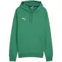 PUMA Team Goal Casuals Hoody Forest Night Herren Medium