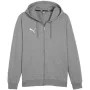 PUMA Team Goal Casuals Hoodie mit Kapuze Grau