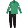 PUMA Herren Team Rise Trainingsanzug in Pfeffergrün und Puma Black, Größe S