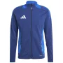 adidas Tiro 24 Competition Herren-Sweatshirt Team Royal Blue/Weiß