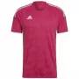 adidas Condivo 22 Match Day Trikot Pink HE2947 XL
