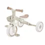 Tribike Lern-Dreirad 2-in-1 Plus 737-466