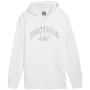 PUMA ESS+ Logo LAB Gradient Kapuzenpullover FL Puma White Medium