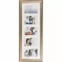 Victoria Collection 21083 Thermostatischer Duschmischer, Wandmontage, Chrom
