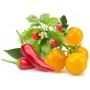 Click & Grow Obst- und Gemüse-Mix Pflanzenkapseln für Smart Garden, 9er-Pack (PPMFVX9)