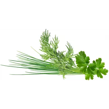Click & Grow Plant Pod Classic Garnish Mix, 9 Stk. (PPMCGX9)