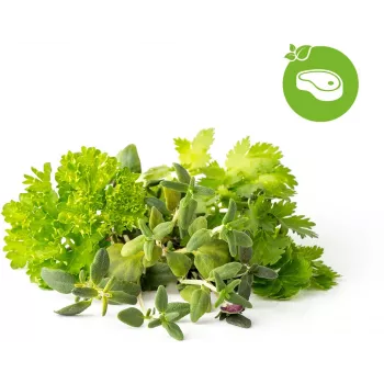 Click & Grow Steak-Kräuter-Mix Pflanzenkapseln für Smart Garden, 9er-Pack (PPMSSX9)