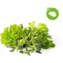 Click & Grow Steak-Kräuter-Mix Pflanzenkapseln für Smart Garden, 9er-Pack (PPMSSX9)