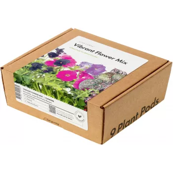 Click & Grow Vibrant Flower Mix Pflanzenkapseln für Smart Garden, 9er-Pack (PPMVBX9)