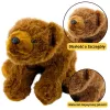 LEAN TOYS Plüschtier Brauner Bär Kuscheltier 28cm