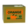 LEAN TOYS Mischief Sparbox Süßes Kätzchen Geldbox Spardose - Weiße Katze mit brauner Box