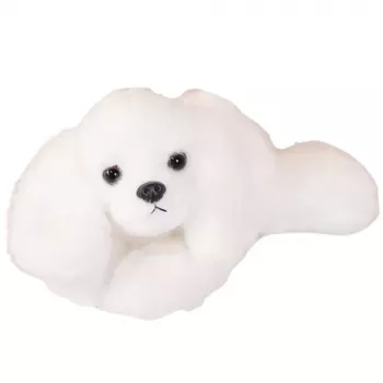 LEAN TOYS Plüsch-Malteser-Hund mit gewichteten Pfoten Weiß 30cm