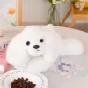 LEAN TOYS Plüsch-Malteser-Hund mit gewichteten Pfoten Weiß 30cm