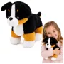 LEAN TOYS Plüschtier weicher Hund zum Kuscheln Berner Sennenhund 30x30 cm