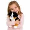 LEAN TOYS Plüschtier weicher Hund zum Kuscheln Berner Sennenhund 30x30 cm