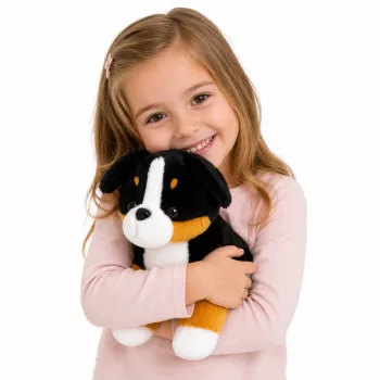 LEAN TOYS Plüschtier weicher Hund zum Kuscheln Berner Sennenhund 30x30 cm