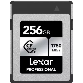 Lexar Professional CFexpress Type B Speicherkarte 256GB, Silver Series (LCXEXSL256G-RNENG)