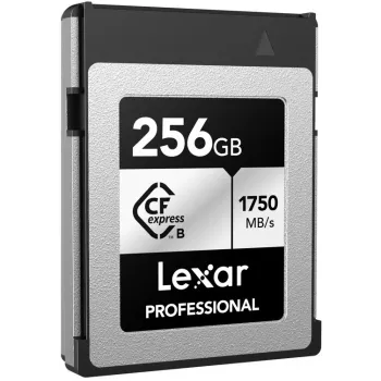 Lexar Professional CFexpress Type B Speicherkarte 256GB, Silver Series (LCXEXSL256G-RNENG)