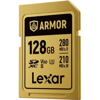 Lexar Professional ARMOR GOLD 128GB SDXC UHS-II V60 Speicherkarte (LSDAMGL128G-RNNNG)