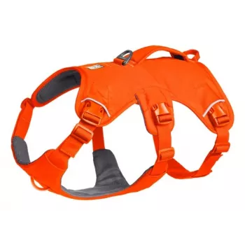 Ruffwear Web Master Mehrzweck-Stützgeschirr für Hunde, Blaze Orange, Größe M