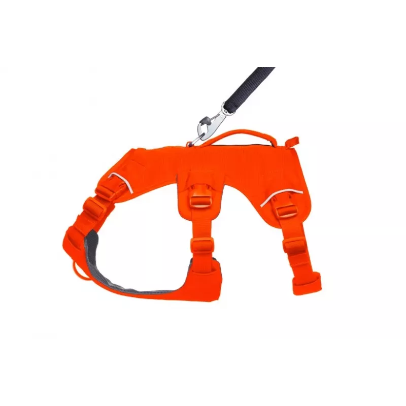 Ruffwear Web Master Mehrzweck-Stützgeschirr für Hunde, Blaze Orange, Größe M