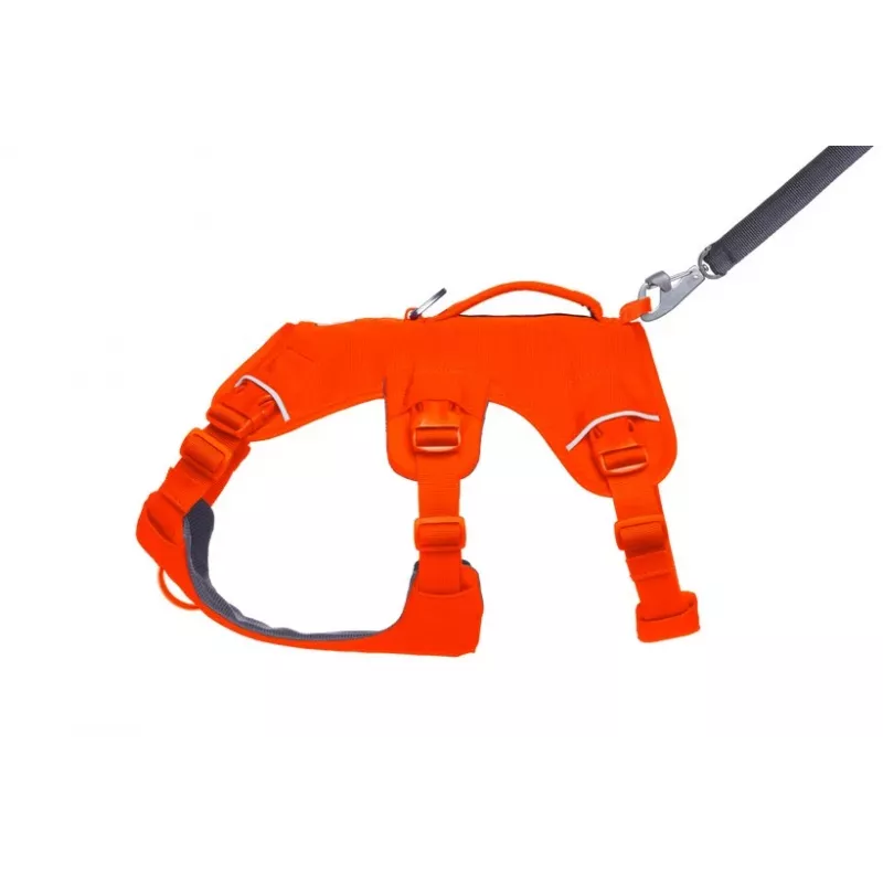 Ruffwear Web Master Mehrzweck-Stützgeschirr für Hunde, Blaze Orange, Größe M