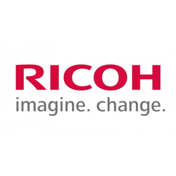 Ricoh D1583890 (D158-3890) Elektrodenplatte: Trennung