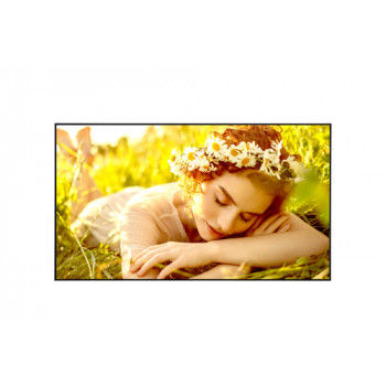 LG 50UL5Q-M - 50 Zoll Standard Mid UHD Display - 127 cm - 50