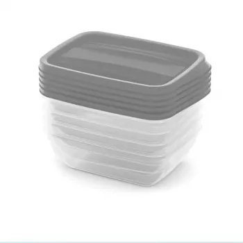 CURVER Vedo Aufbewahrungsbehälter-Set 5x0,5L Transparent Grau