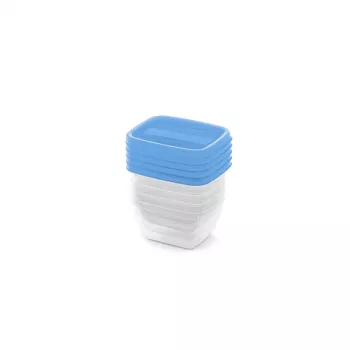 CURVER Rechteckiges Aufbewahrungsbehälter-Set 5x0,25L Vedo Transparent Blau