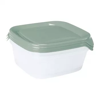 CURVER Fresh&Go Quadratische Frischhalteboxen Set 3 x 0,8 L Grün