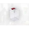 LEIFHEIT Fresh&Easy Frischhaltebehälter 800ml, luftdicht, stapelbar, BPA-frei, transparent mit weiß/grünem Deckel