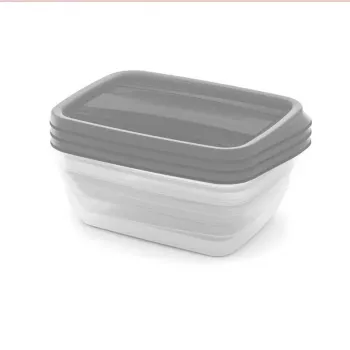 CURVER Aufbewahrungsbox-Set rechteckig 3x1L Vedo Transparent Grau