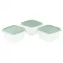 Curver Fresh&Go Quadratische Frischhalteboxen Set 3-teilig 3x1,2L Grün