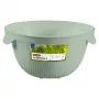 CURVER Kitchen Essentials Faltbarer Küchensieb Grün 24 cm Silikon & Nylon