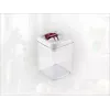 LEIFHEIT Fresh&Easy luftdichter Lebensmittelbehälter 1,6L, BPA-frei, transparent mit grünem Deckel