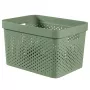 CURVER Infinity Recycled Box 17L 36x27x22cm Grün