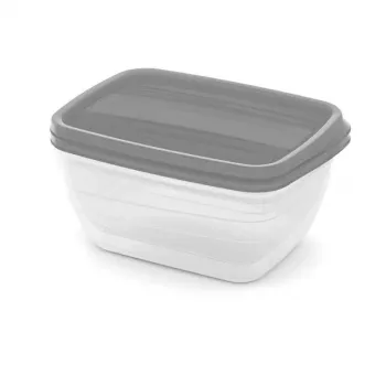 Curver Vedo Rechteckiges Haustier-Futterschüssel-Set 2x1,3L Transparent Grau